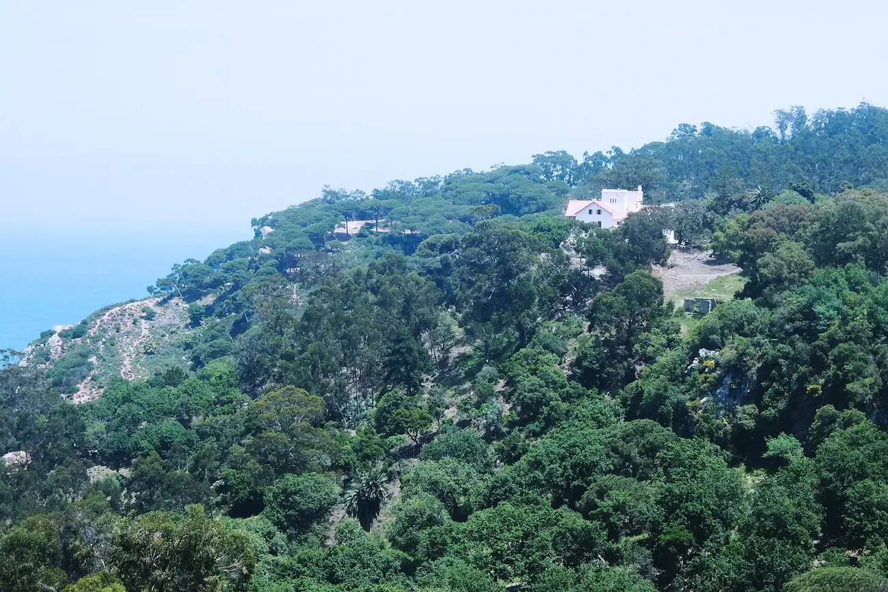 Forest paths in Perdicaris Park, Tangier
