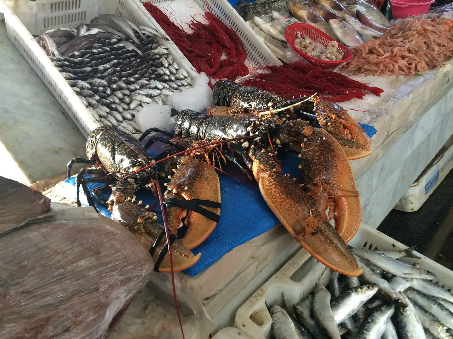Crabs and seafood on ice at Casablanca’s fish market
