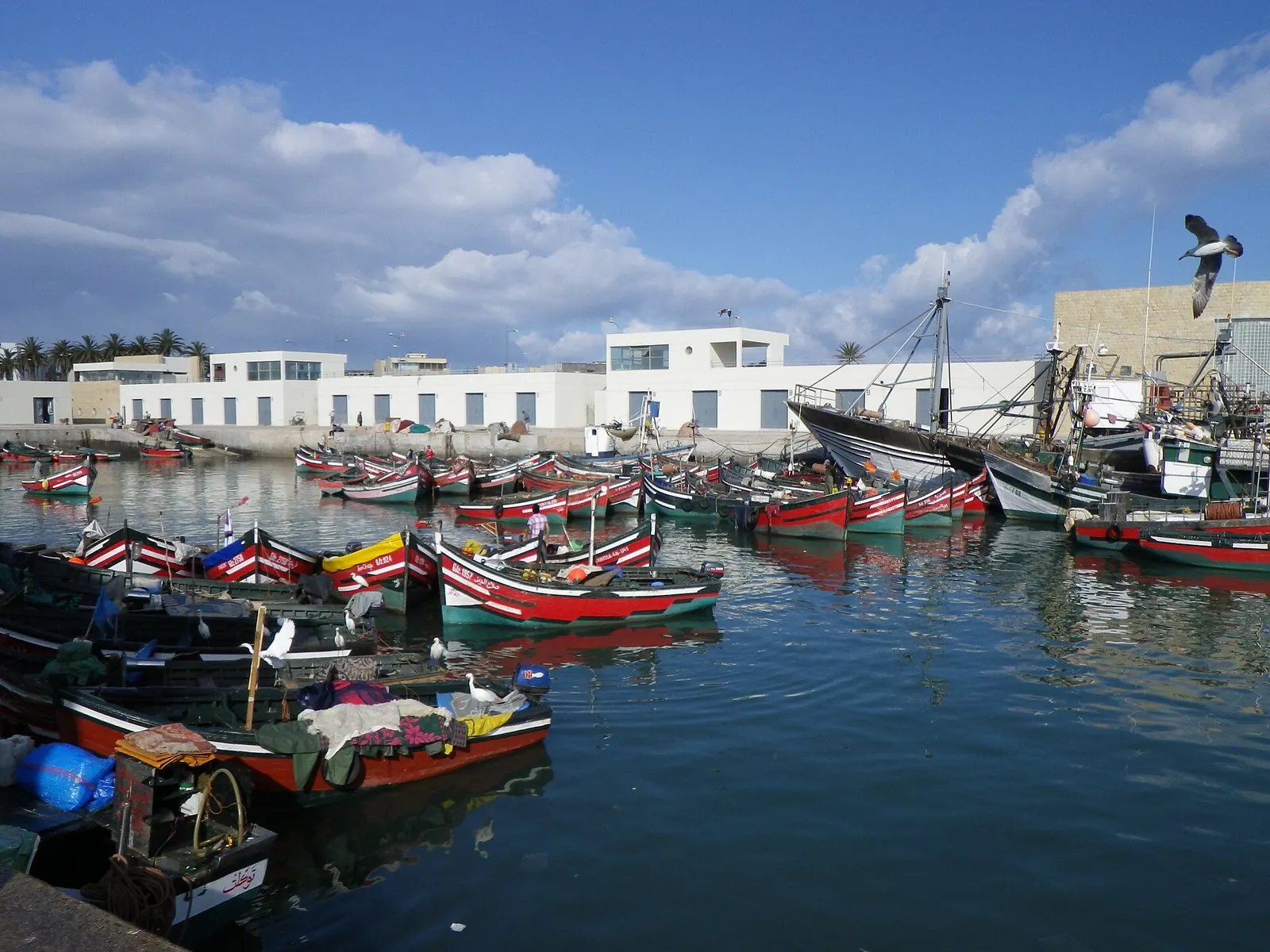 Fishing boats in the port of El Jadida