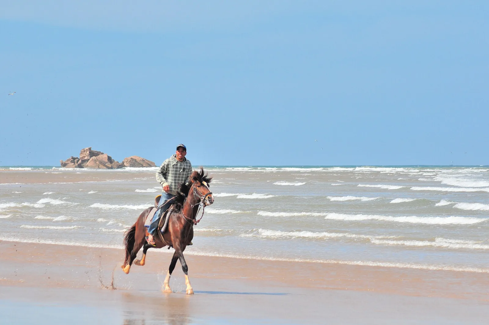 Rider on a horse along the shoreline of Essaouira beach