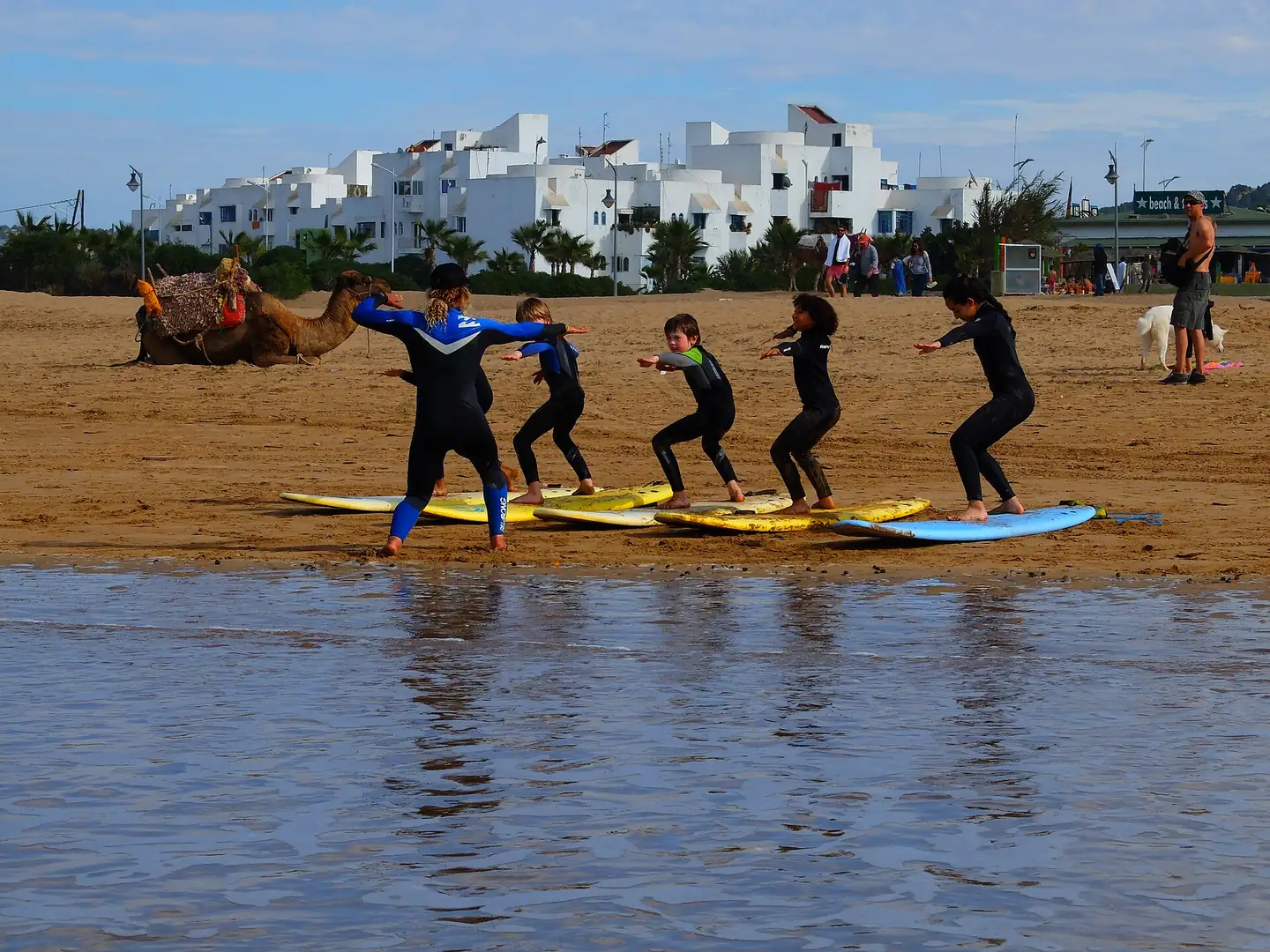 Surf students warming up on their boards on Essaouira beach