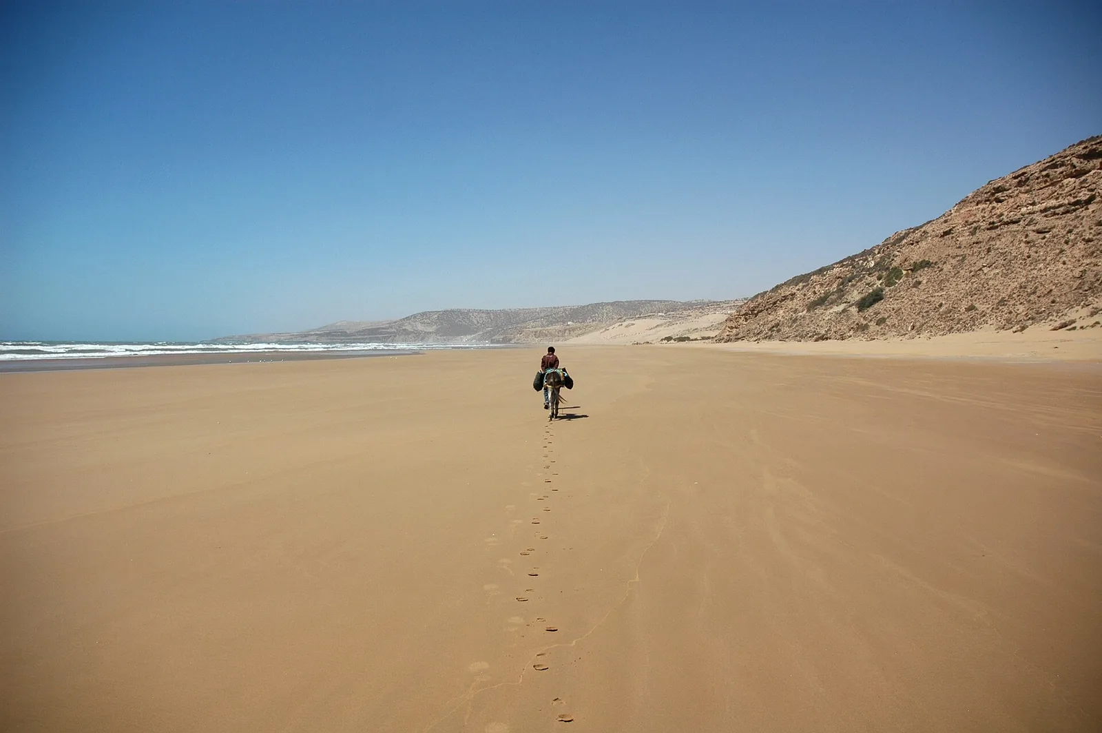 Local guide walking with a mule along a beach in Sidi Ahmed Essayeh