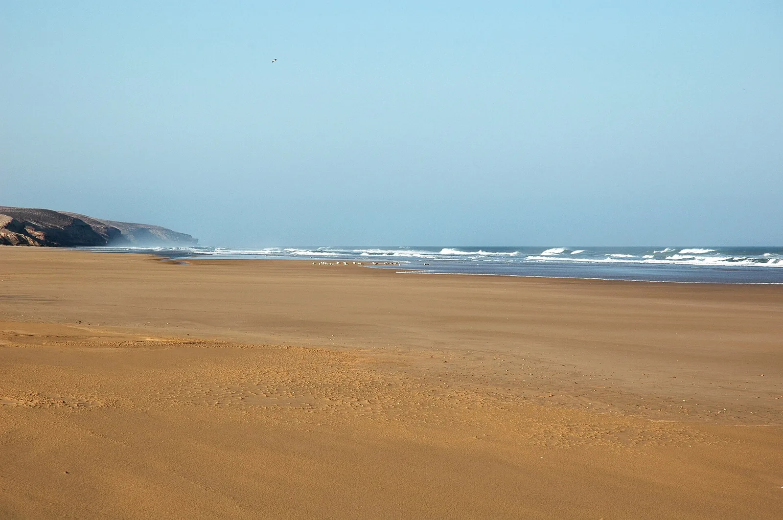 Empty sandy Takaouch beach on the coast south of Essaouira