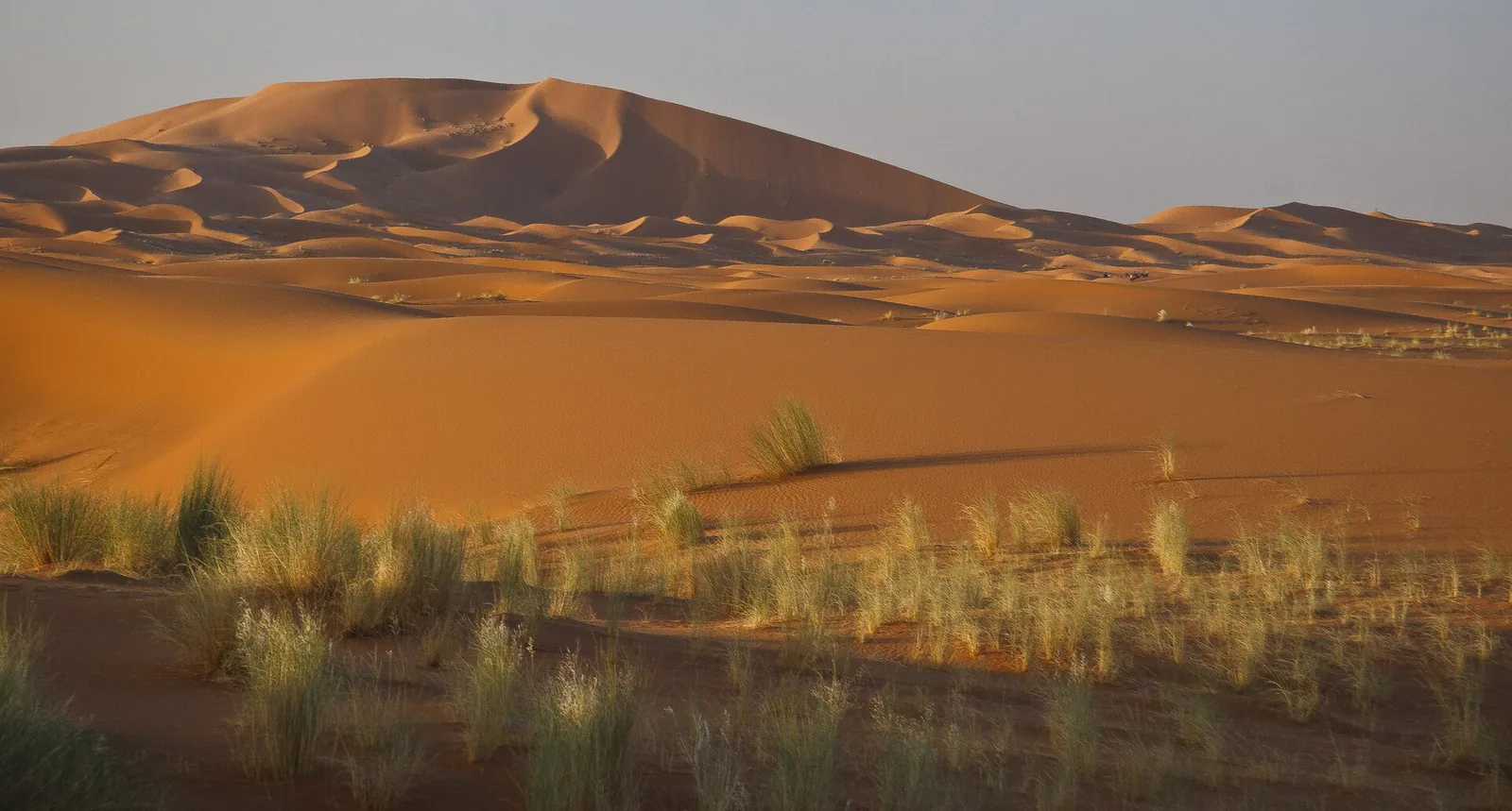 Sand dunes at sunset, Erg Chebbi Dunes