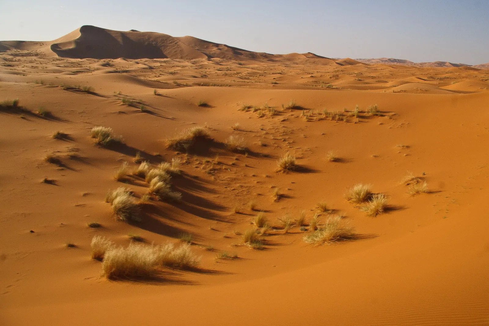Sand dunes at sunset, Erg Chebbi Dunes