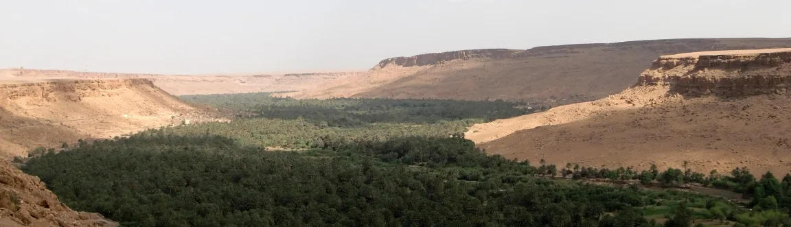 View over the valley, Draa Valley