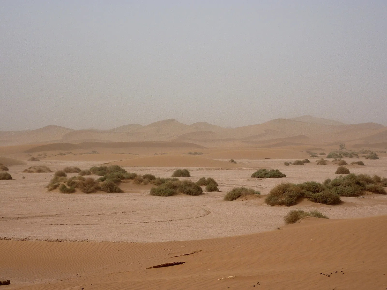 The high dunes of Erg Chigaga