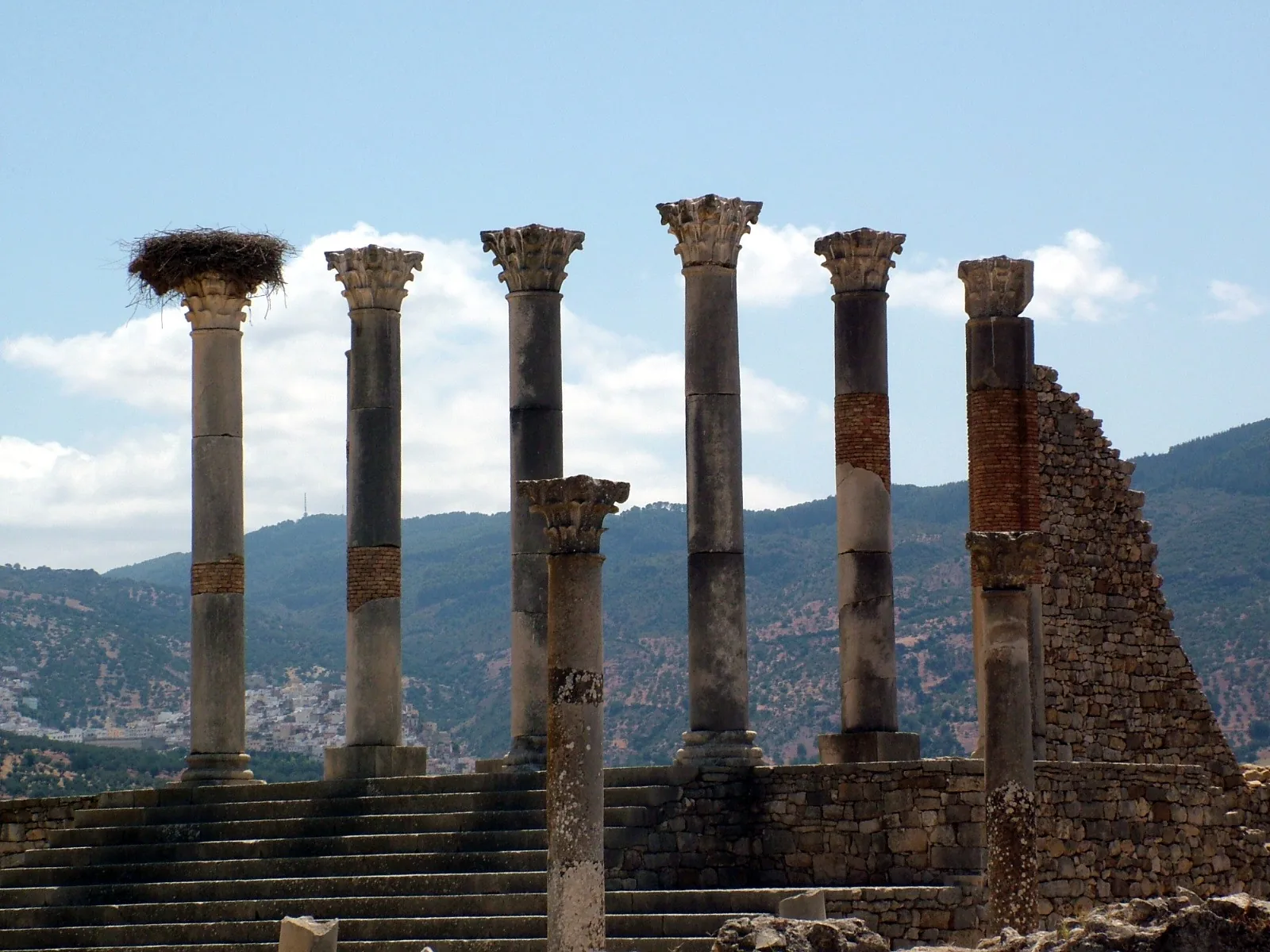 Columns of the Capitol, Volubilis Archaeological Site