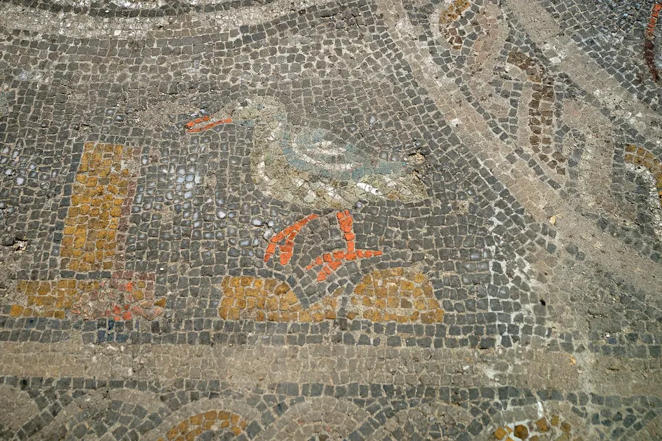Ancient floor mosaic, Volubilis Archaeological Site