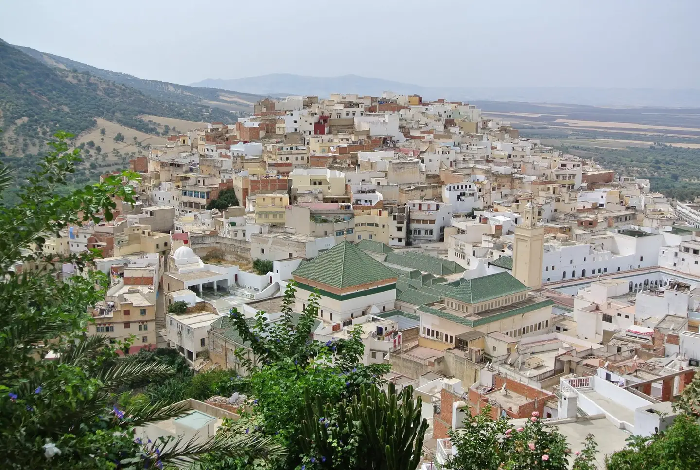Town rooftops and green-tiled roofs, Moulay Idriss Zerhoun