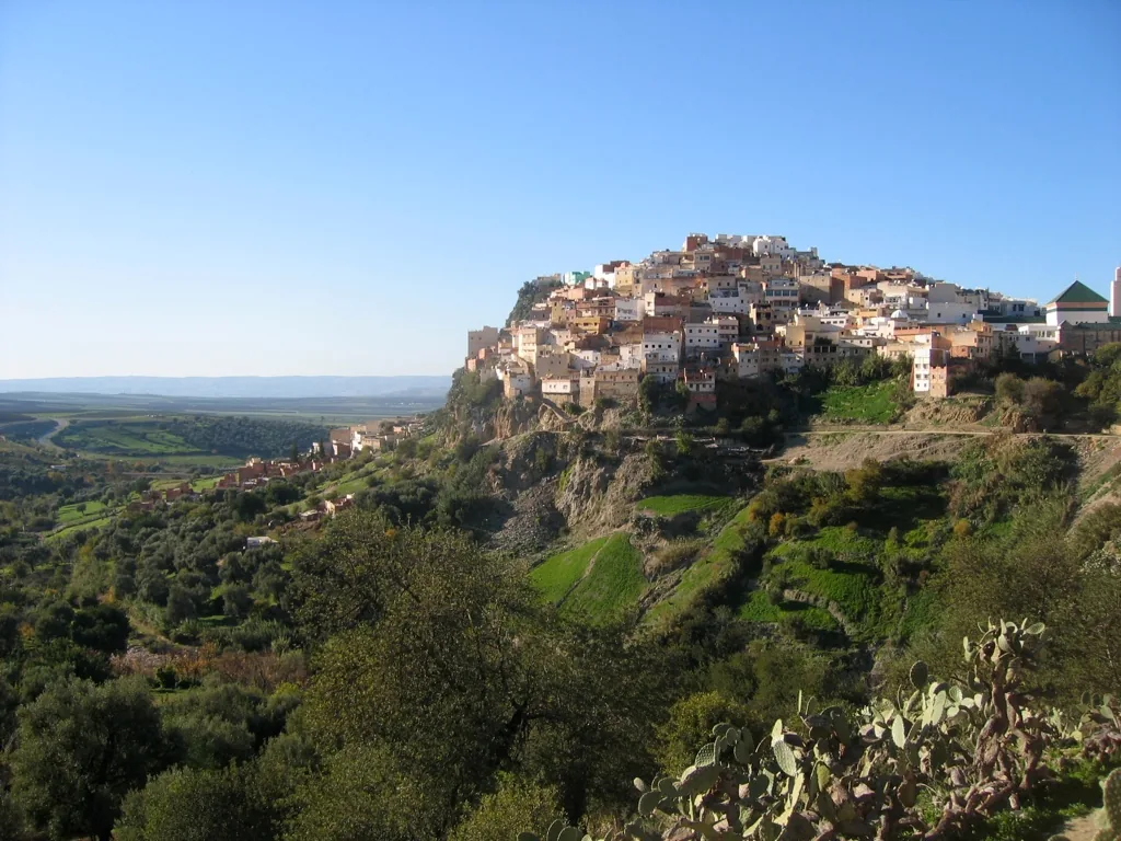 Hillside town, Moulay Idriss Zerhoun