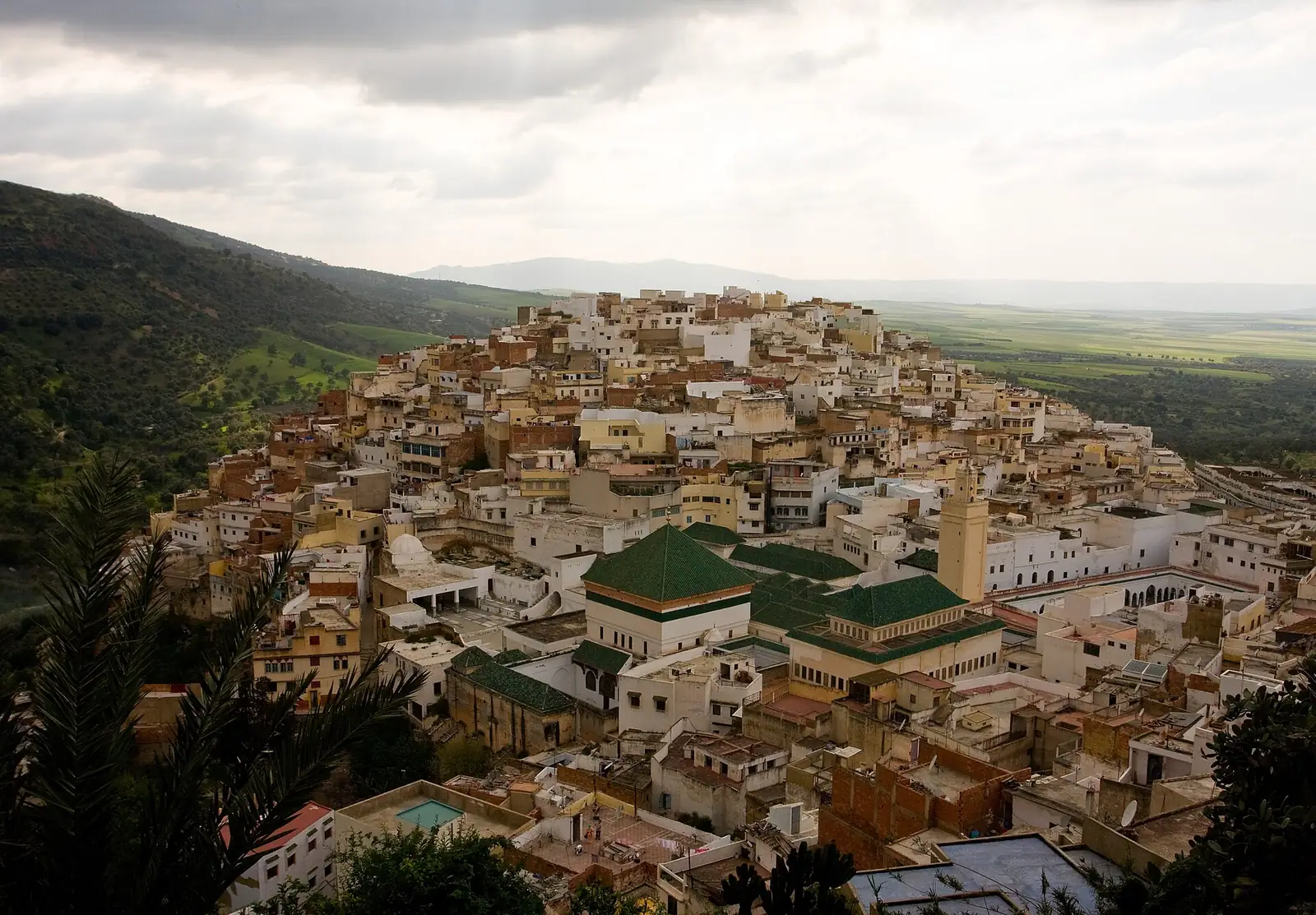 Hillside town, Moulay Idriss Zerhoun