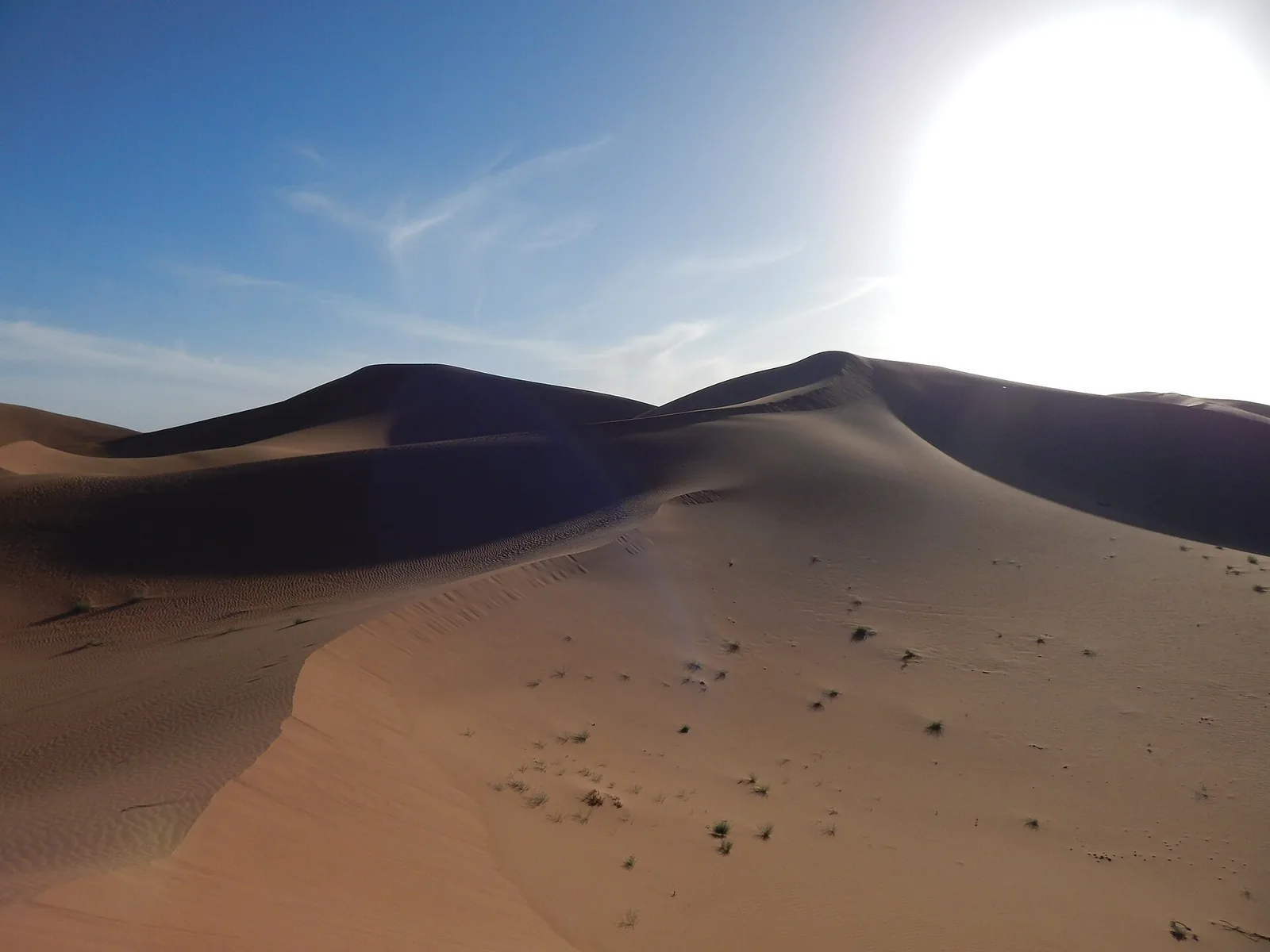 Backlit dune ridges of Erg Chigaga