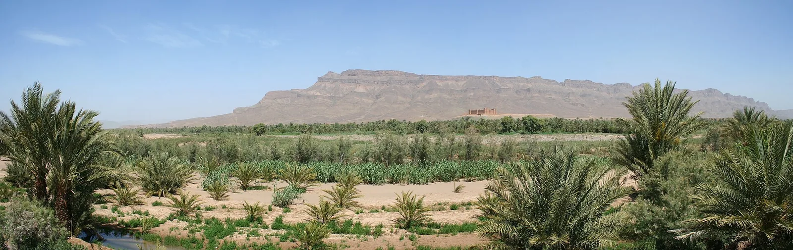 A kasbah, palm fields and mountains in the Draa Valley