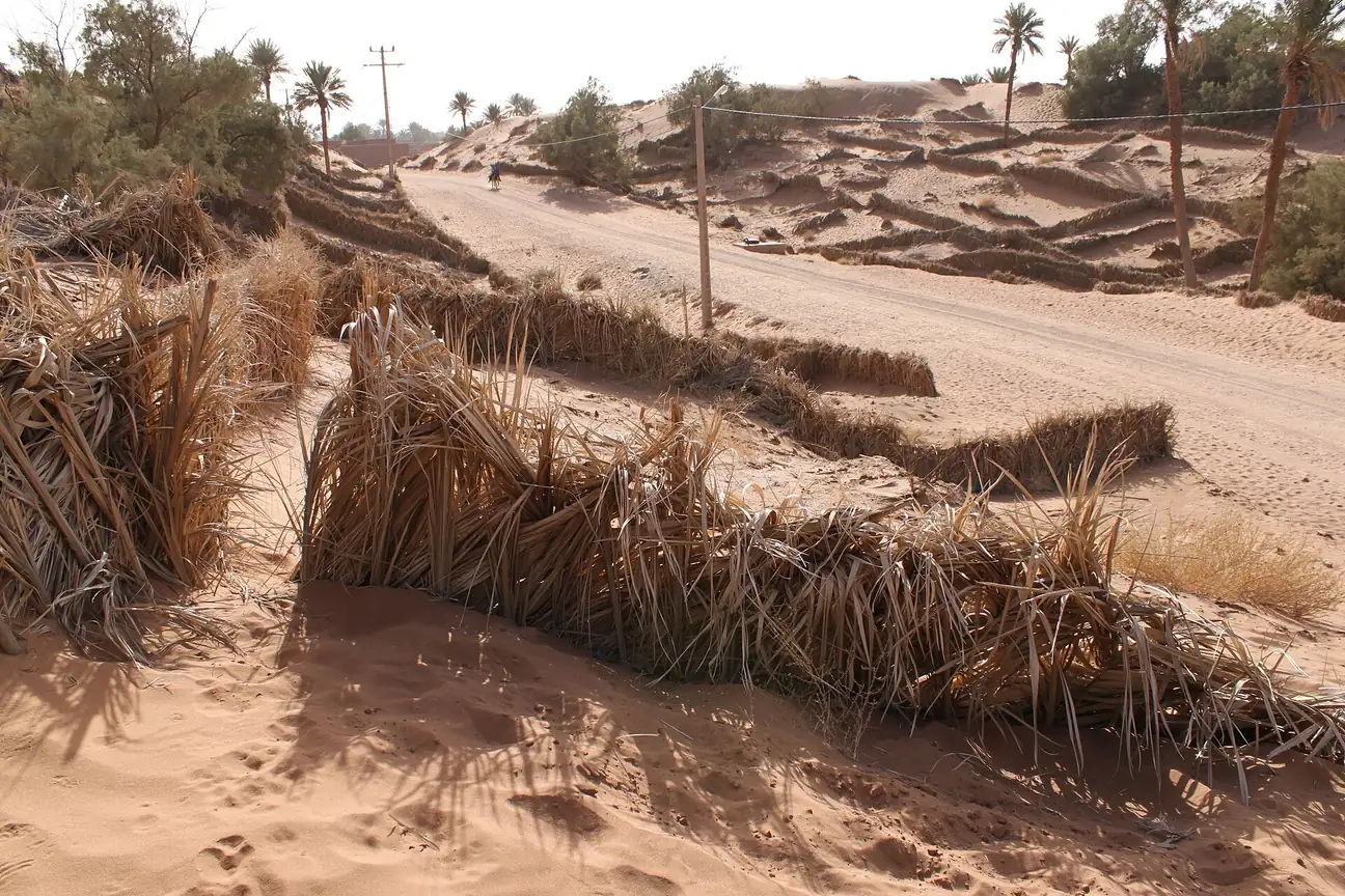 Palm-frond fences holding back sand at Tinfou