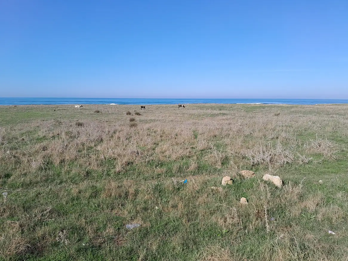 Green fields running down to the sea near Asilah