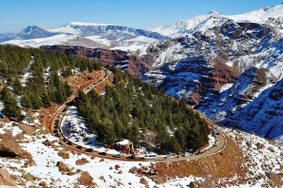 Snowy slopes and pine trees around Oukaimeden in the High Atlas
