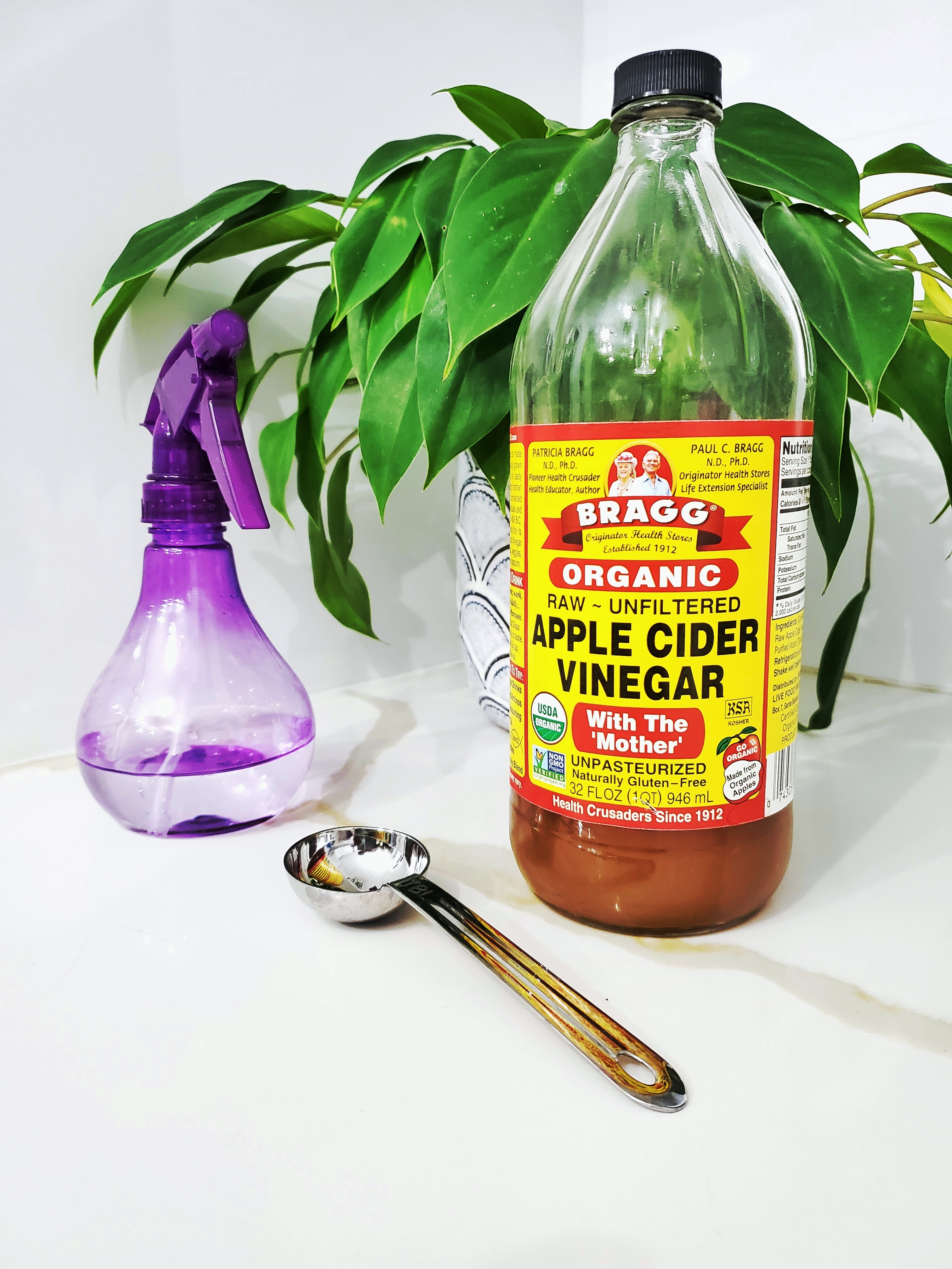 Vinegar & Dishsoap