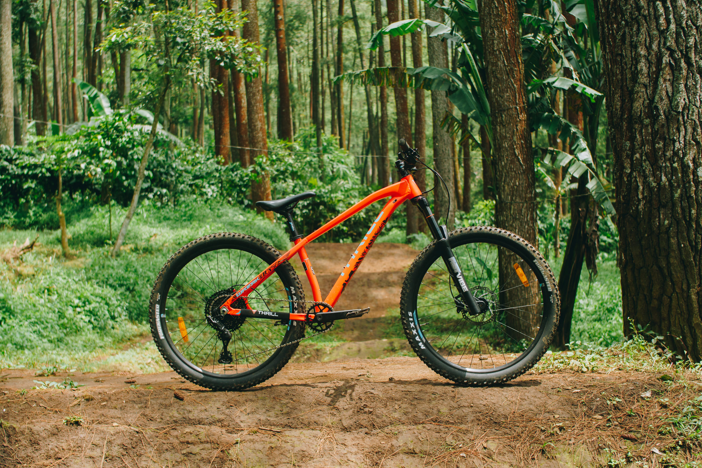 Thrill Bicycle