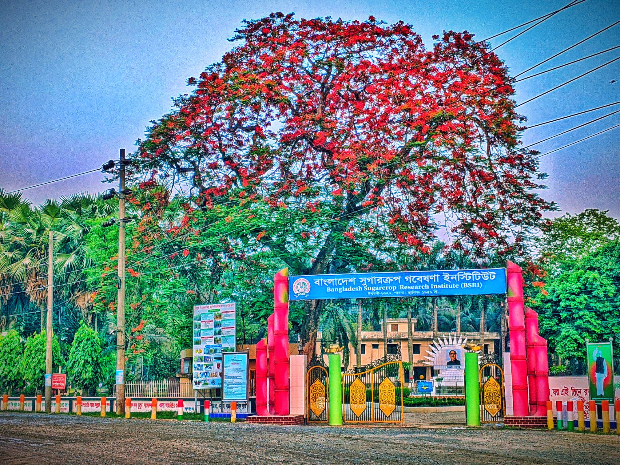 ইক্ষু গবেষণা কেন্দ্র (BSRI)