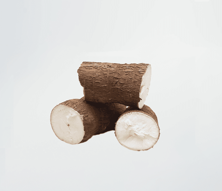 Yuca (Cassava)