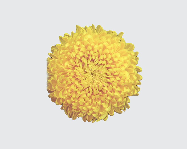 ASTROID® by MAGNIFICA