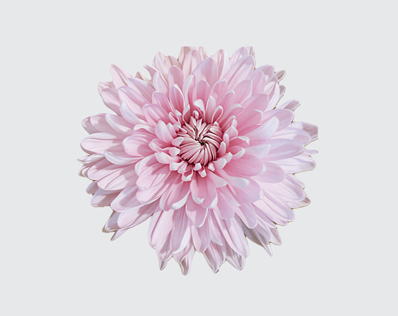 HONEY INTENSE® by MAGNIFICA