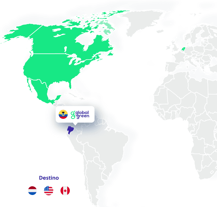 Our Quality, Our Story