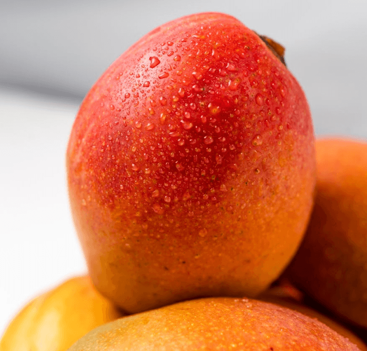 Why Choose Global Green?