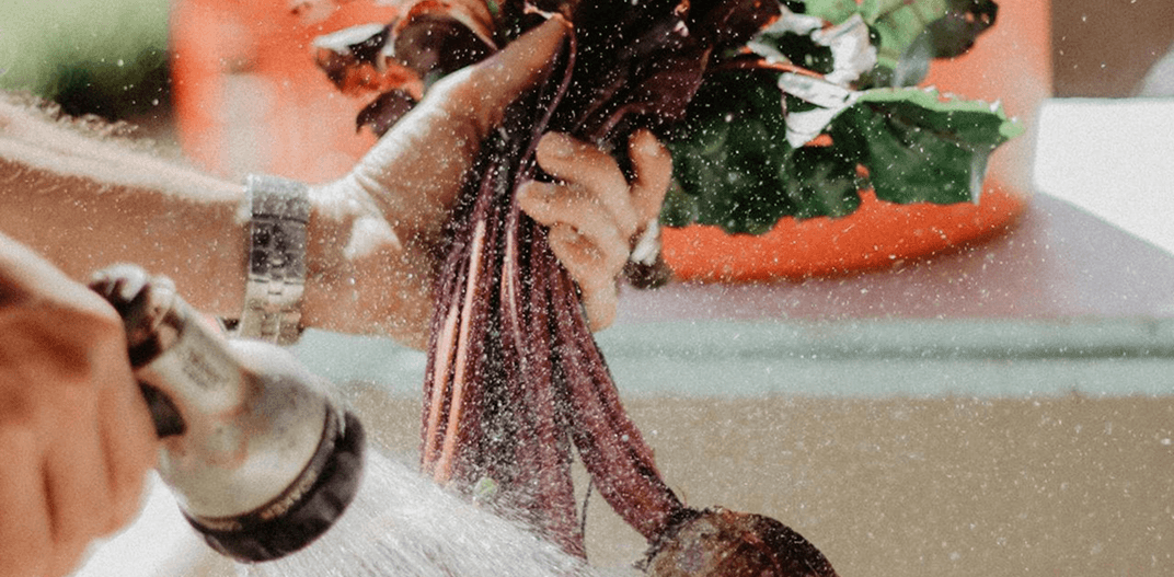 From Farm to Table: How Proper Handling Ensures Food Safety