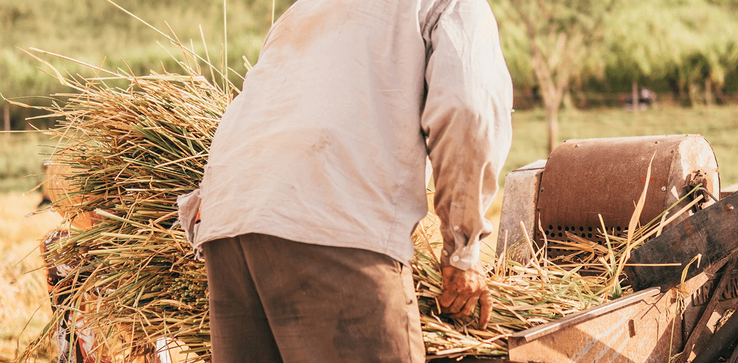 A Closer Look at Ecuador’s Agricultural Workforce