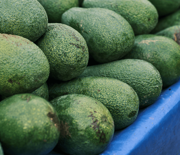 Avocado