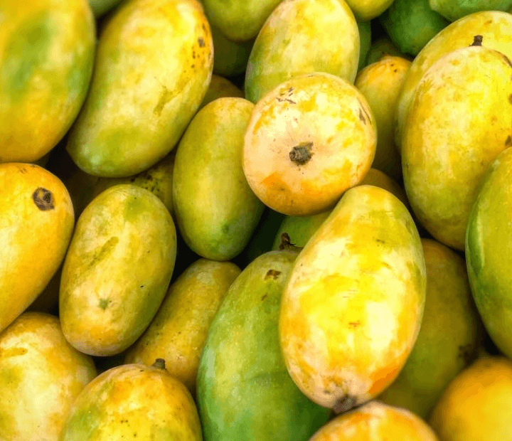 Mango