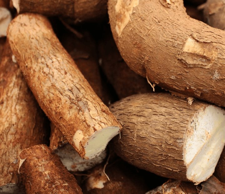 Yuca (Cassava)