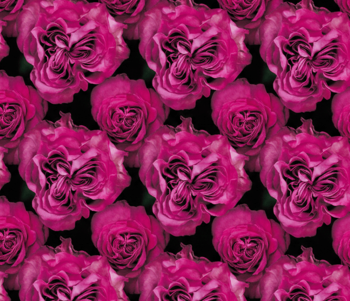 COUNTRY BLUES® by ROSEN TANTAU