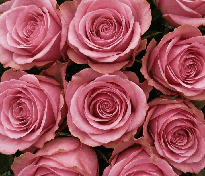  BE SWEET® by DE RUITER