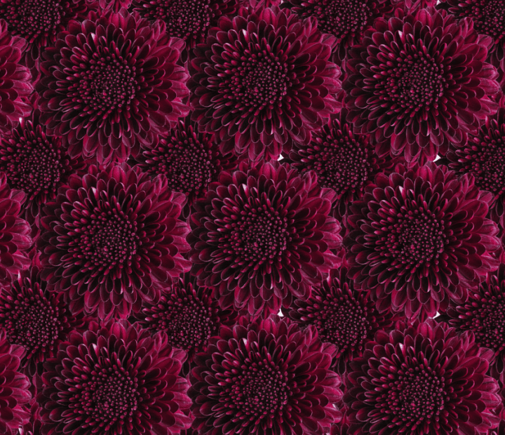 GANACHE® by MAGNIFICA