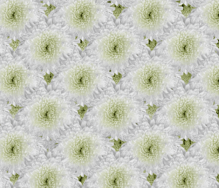 MAGNUM® by MAGNIFICA