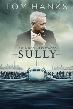 Sully(Miracle on the Hudson)