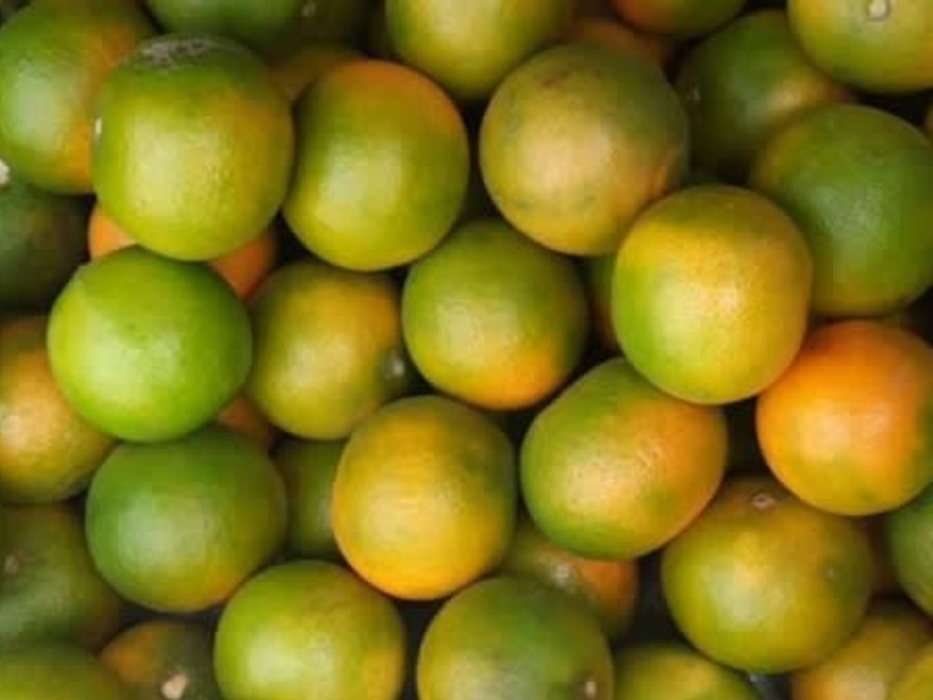 Pixie fruits
