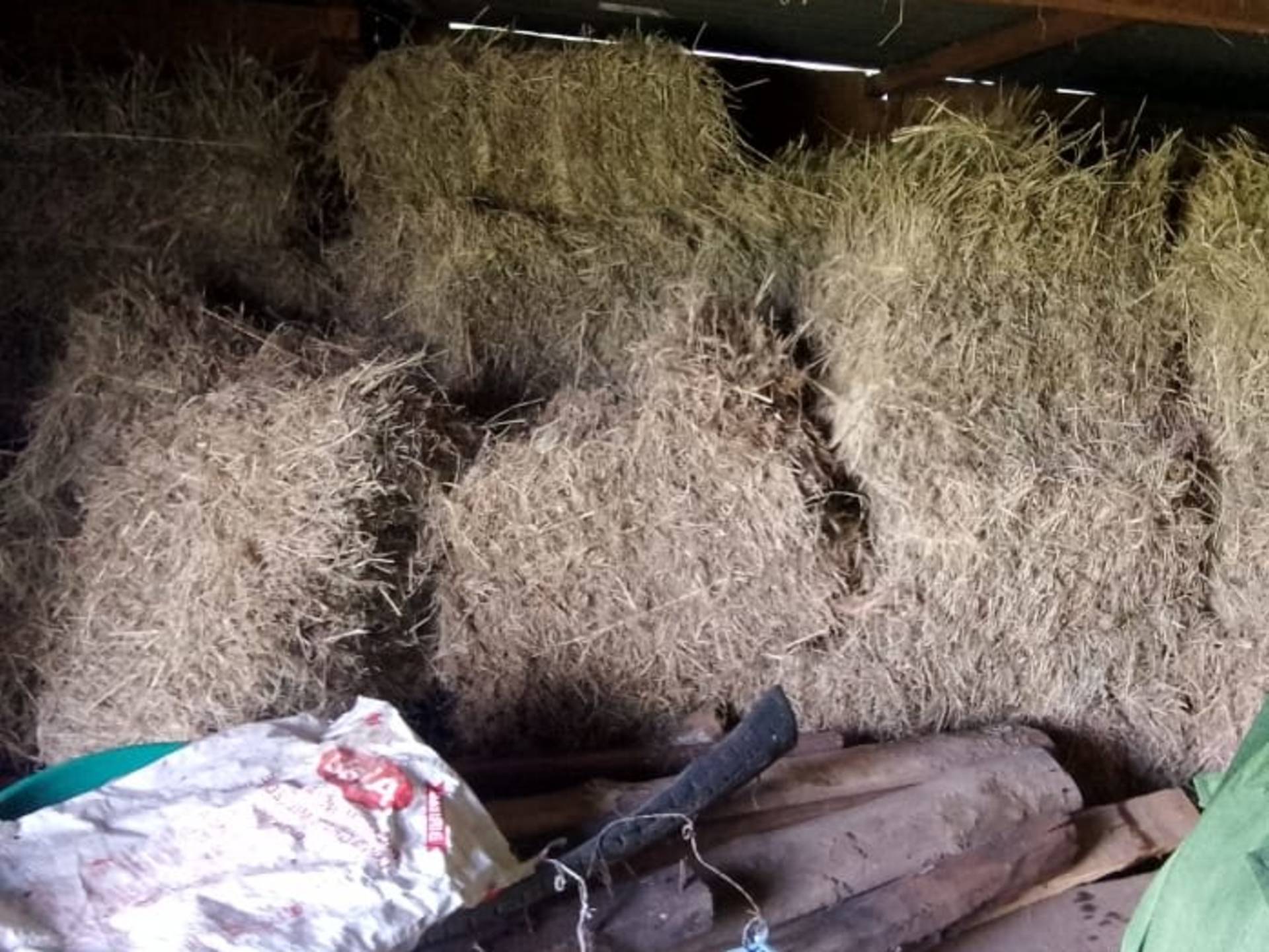 Meadow grass hay