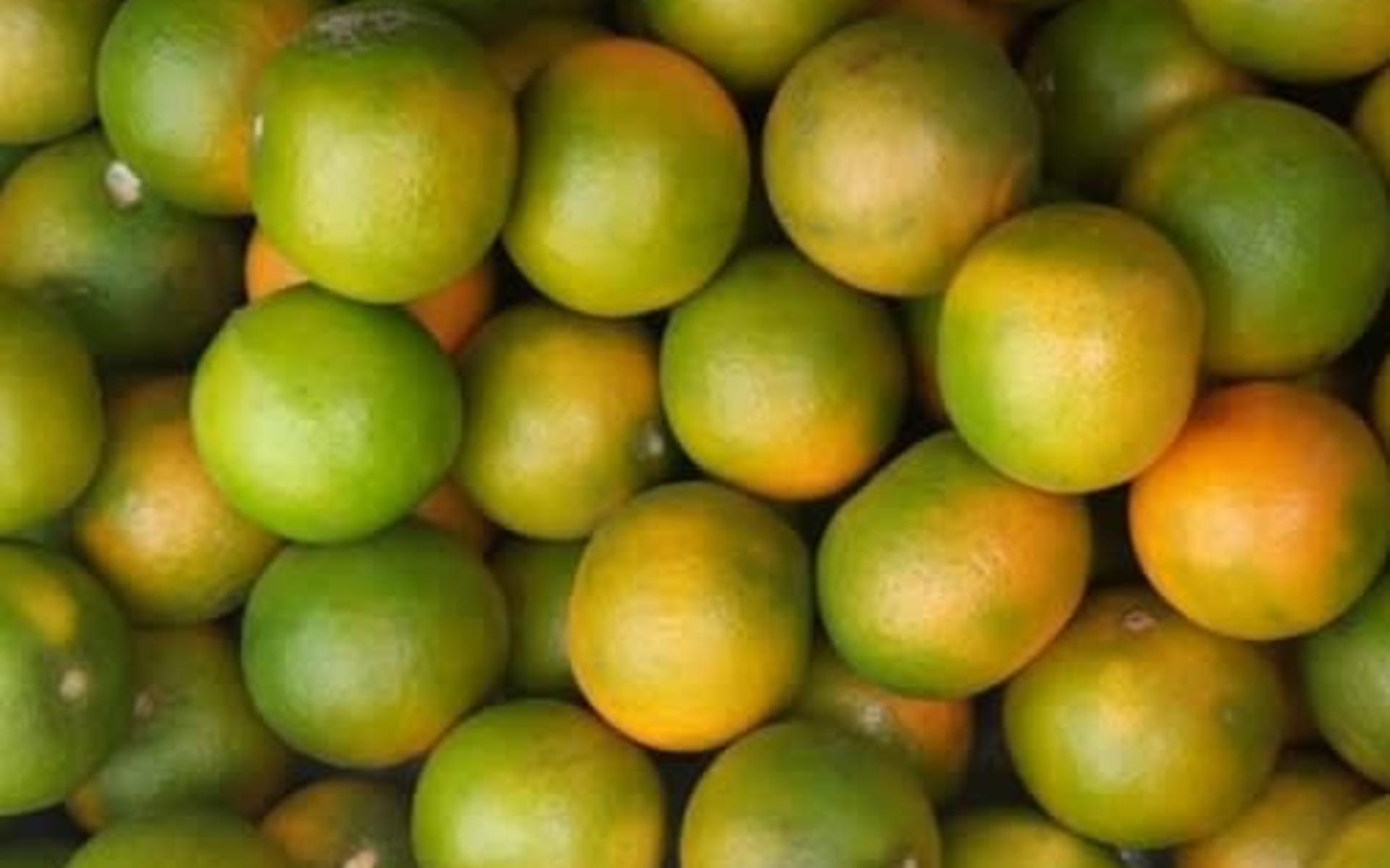 Pixie fruits