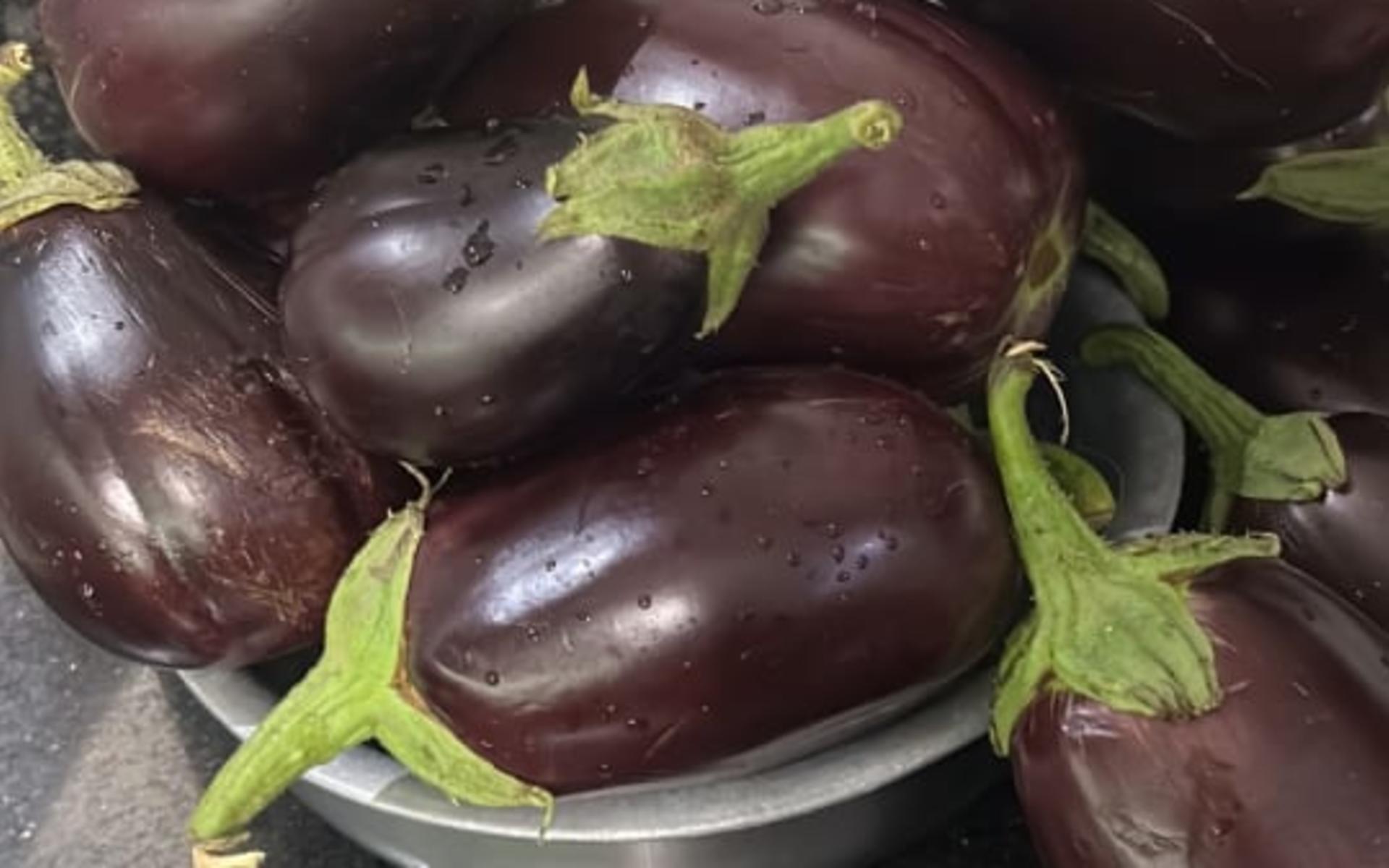 Jambo Eggplants