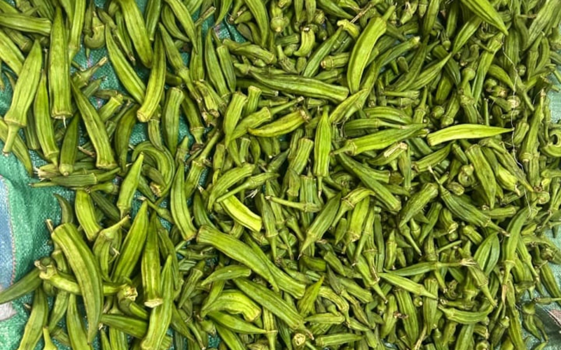 Okra