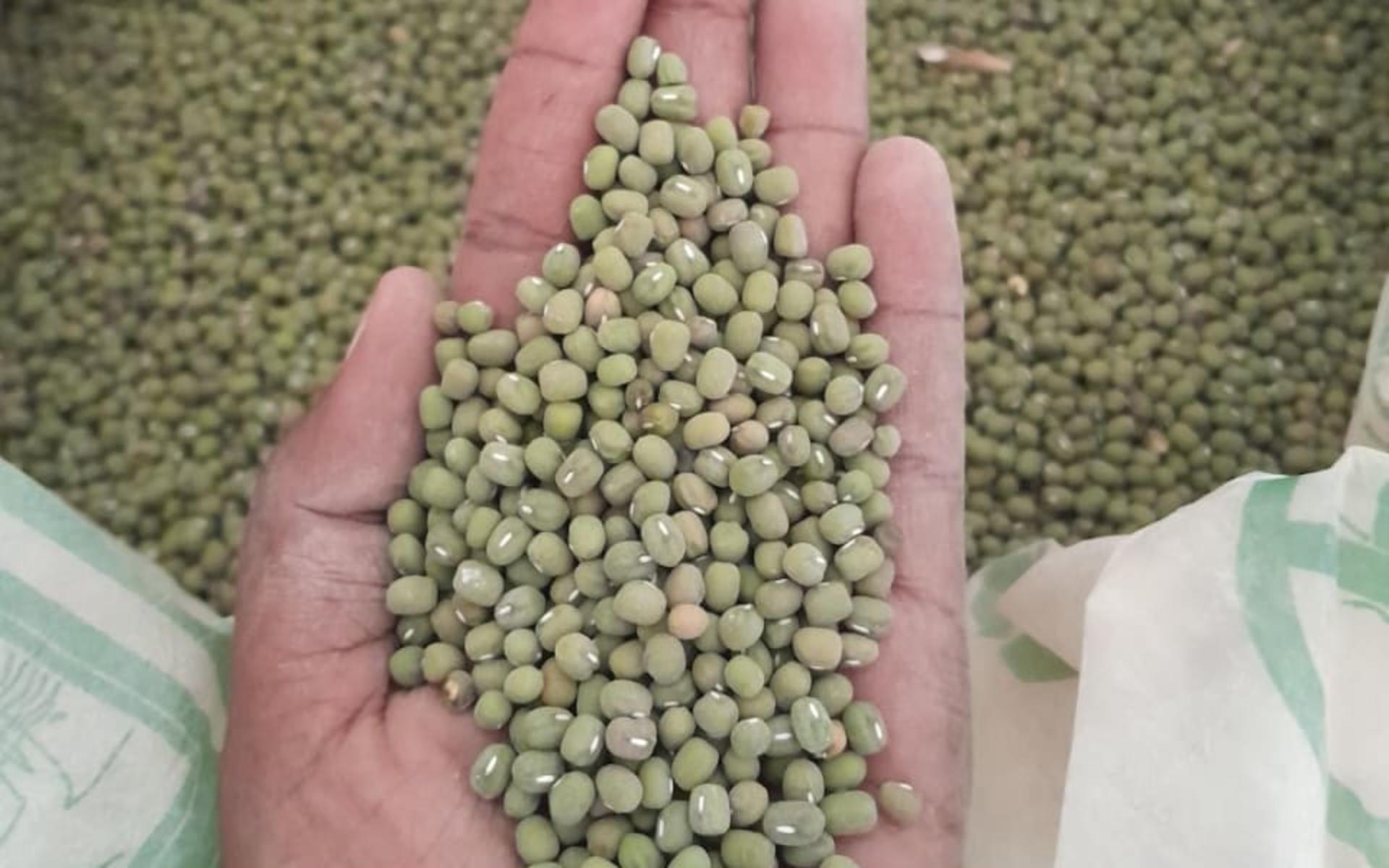 Makueni Ndengu