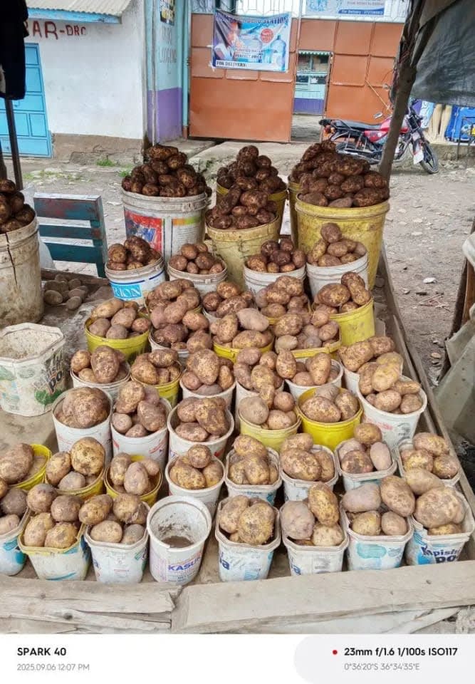 potatoes