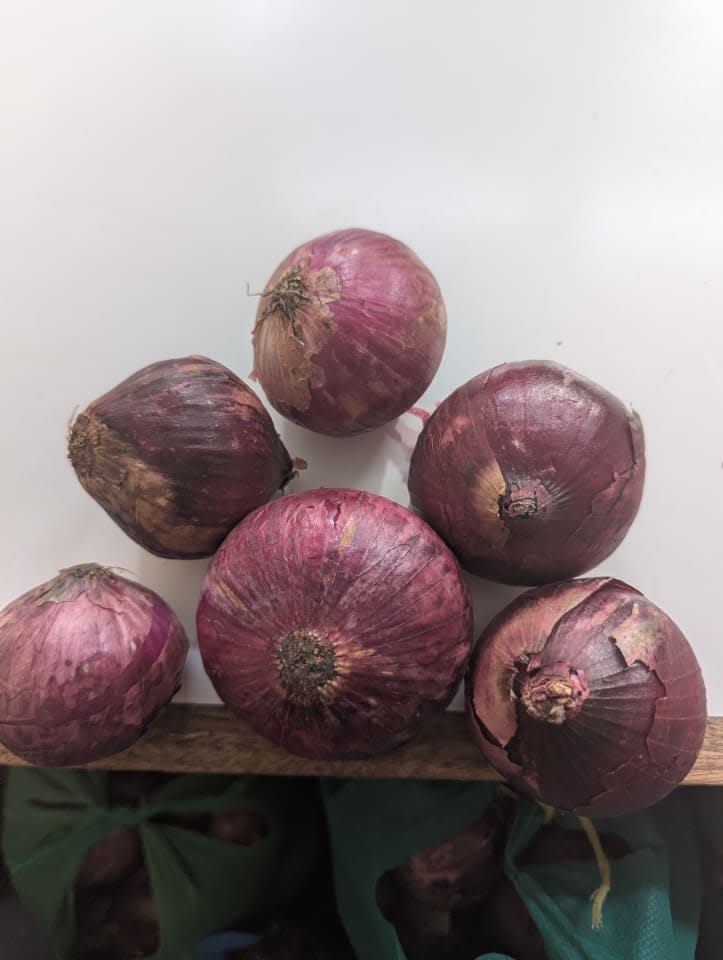 Red bulb onion