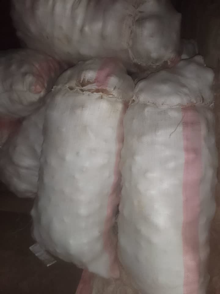 Fresh Unica Potatoes ,sorted and packed