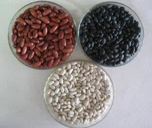 Beans