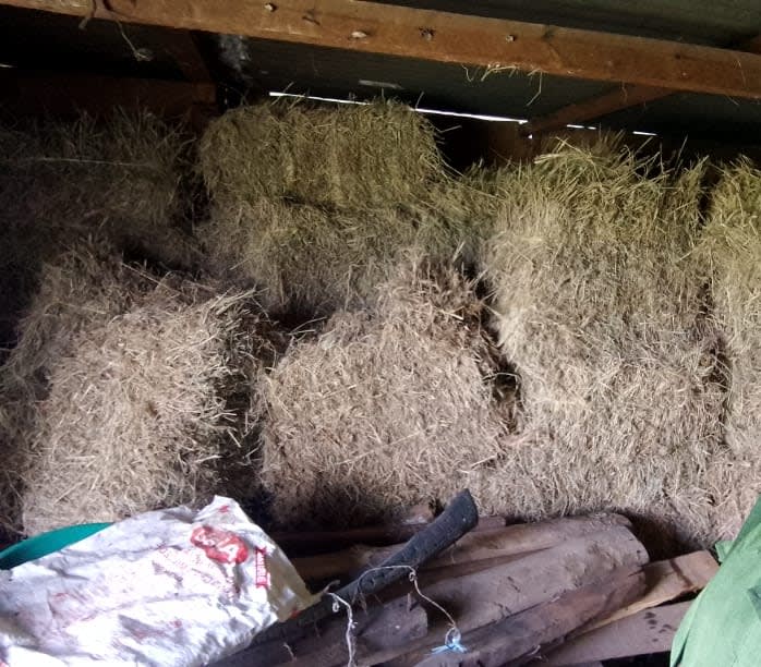 Meadow grass hay
